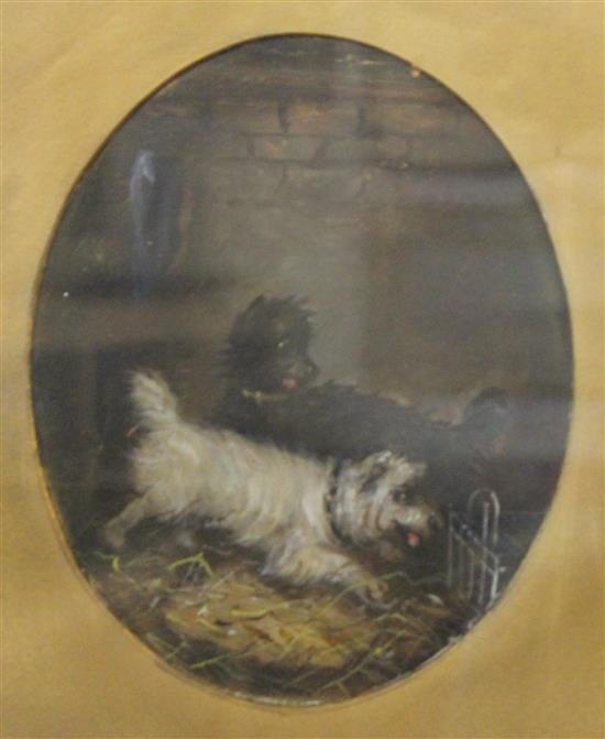 Amrfield, painting of terriers